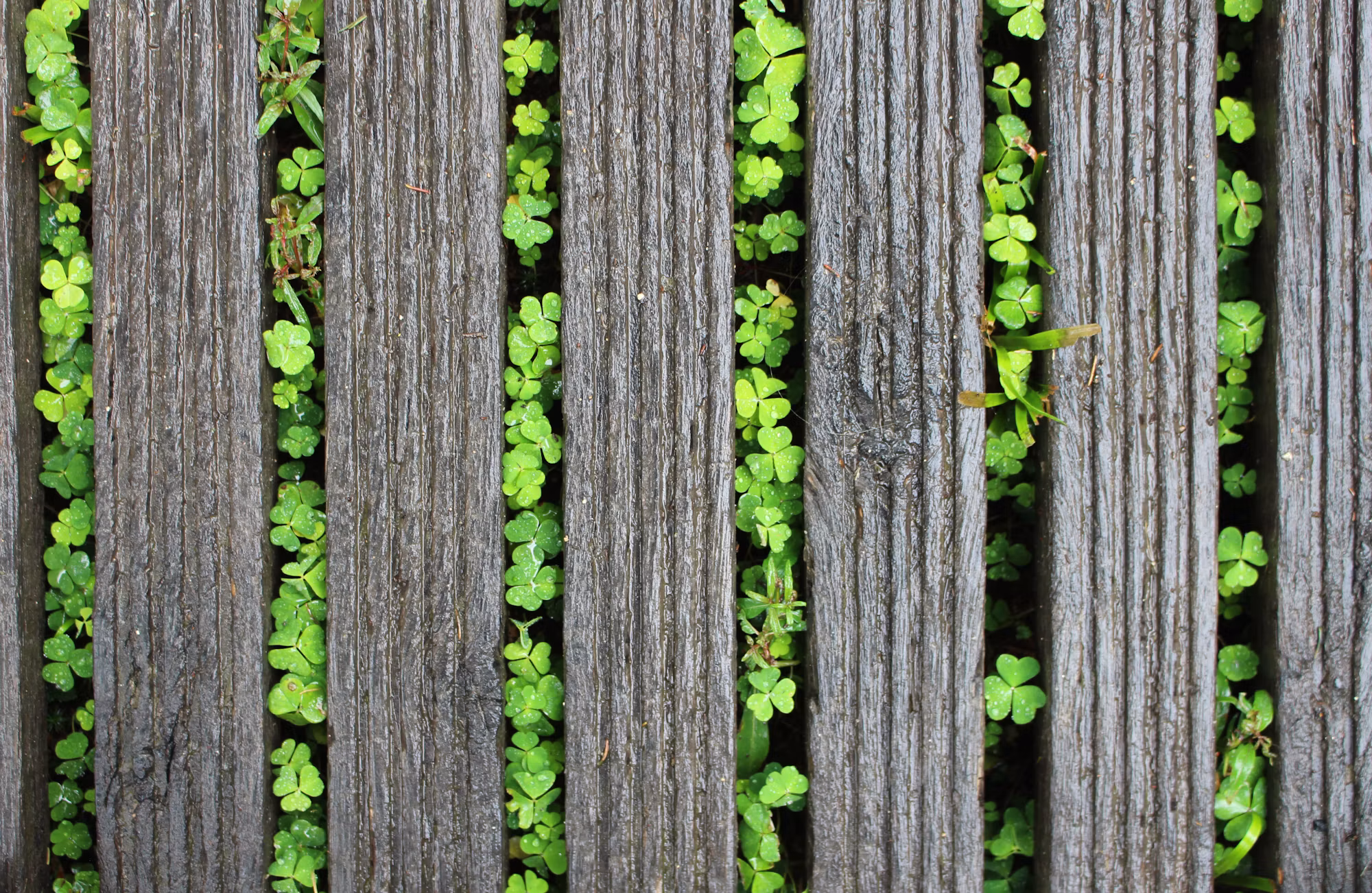 Exploring the World of Sustainable Fashion: A Path to Conscious Consumerism